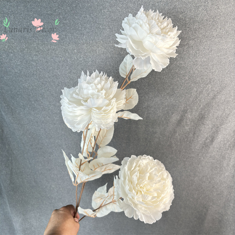 10 peças de plantas verdes art - Photography Simulator avaliação e preço